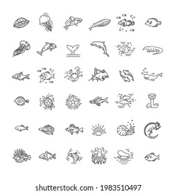 Marine life, Vector thin Icons set. Reptiles