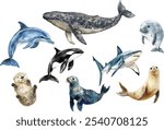 Marine life watercolor illustration collection, dolphins, manatees, sea lions, sea otters, seals, sharks, and whales on a white background