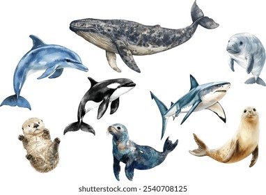 Coleção de ilustrações em aquarela da vida marinha, golfinhos, peixes-boi, leões marinhos, lontras marinhas, focas, tubarões e baleias em um fundo branco