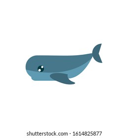marine life, whale cartoon sea fauna animal on white background