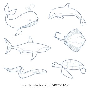 Marine life. Whale, dolphin shark stingray eel turtle