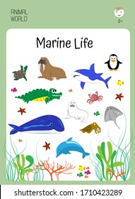 Marine life. whale, walrus, crocodile, shark, stingray, turtle, dolphin, penguin. educational card for preschoolers. Zoology for children