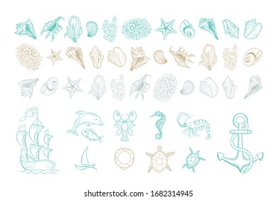 Marine line art vector icons of sea shells, anchor and mollusks. Hand drawn hatching design set of marine seashell, seahorse, dolphin fish and turtle, anchor and buoy, corals, shrimp and yacht ship