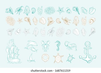 Marine line art vector icons of sea shells, anchor and mollusks. Hand drawn icon set with white fill. Marine seashell, seahorse, dolphin fish and turtle, anchor and buoy, corals, shrimp and yacht ship