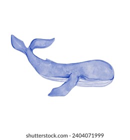 Marine mammal blue whale.Vector graphics.