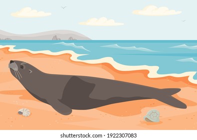 Marine mammal flat vector illustration. Seal lies on sandy beach near ocean. Seascape with salty water on seashore and cute animal on it. Representative of oceanic wildlife liying on coastline