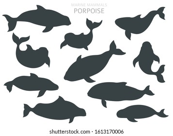 Marine mammals collection. Different porpoises set. Cartoon flat style design. Vector illustration