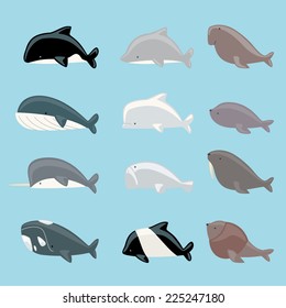 Marine mammals icon collection, with whale, dolphin, manatee, beluga, killer whale, narwhal, walrus, sea lion, blue whale vector illustration.