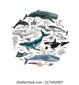 Marine mammals and seaweed in shape of circle, colored sketch vector illustration isolated on white background. Hand drawn underwater animals and fishes - cachalot, whale, orca and dolphin.