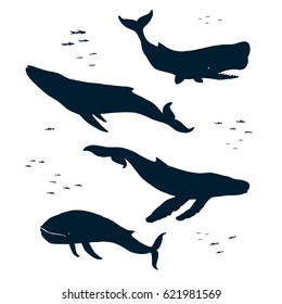 Marine mammals. Silhouette. Blue humpback and sperm whales. Isolated illustration