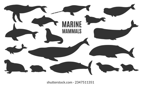 Marine mammals silhouettes set, flat vector illustration isolated on white background. Aquatic animals collection for kids education or games. Sea and ocean wildlife.