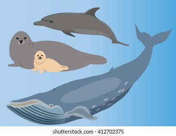 Marine mammals. Whale, dolphin and seal. Vector illustration.