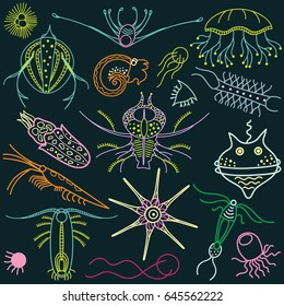 Marine microorganisms. Illustration sea life.