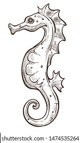 Marine or nautical symbol or seafood seahorse isolated underwater animal sketch vector aquatic creature with curled tail and scallop sealife, wild species sea or ocean bottom dweller monochrome drawin