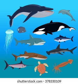 Marine, ocean or sea nature, wildlife fauna set of aquatic animals. Water, fish underwater, dolphin, aquarium exotic life illustration