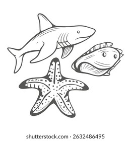 Organismos marinhos Line Art: Tubarão, Estrela, Amêijoa