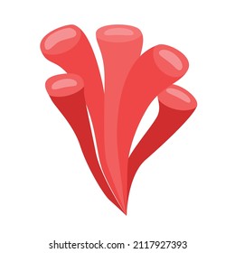 Marine plant or animal for underwater marine style design
