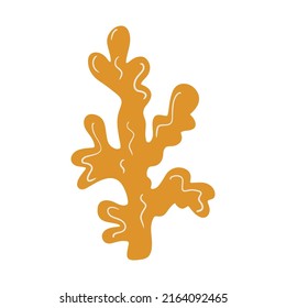 Marine plant, coral, seaweed. Underwater reef plant. Vector in cartoon style.
