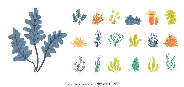 Marine plants and aquatic algae set isolated on white background. Collection of seaweeds, underwater sea plants, shells. Ocean corals silhouettes. Vector illustration, eps 10.