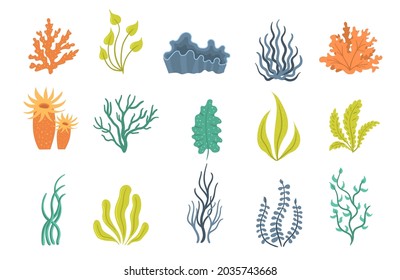 Marine plants and aquatic algae set isolated on white background. Collection of seaweeds, underwater sea plants, shells. Ocean corals silhouettes. Vector illustration, eps 10.