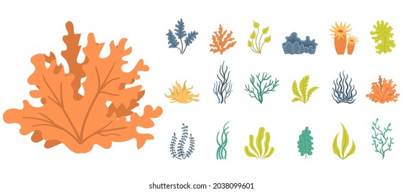 Marine plants and aquatic algae set isolated on white background. Collection of seaweeds, underwater sea plants, shells. Ocean corals silhouettes. Vector illustration, eps 10.