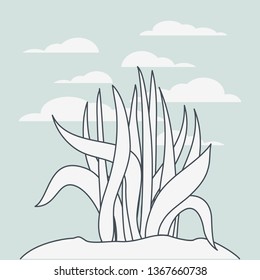 marine plants ecosystem scene