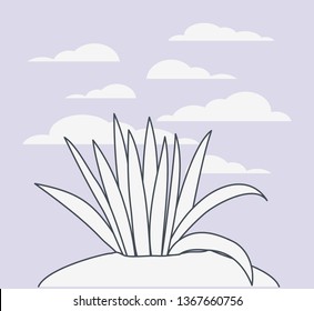 marine plants ecosystem scene