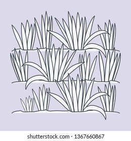 marine plants ecosystem scene