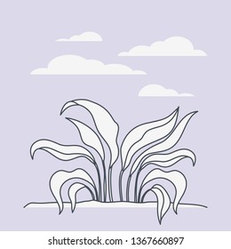 marine plants ecosystem scene