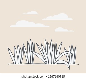 marine plants ecosystem scene