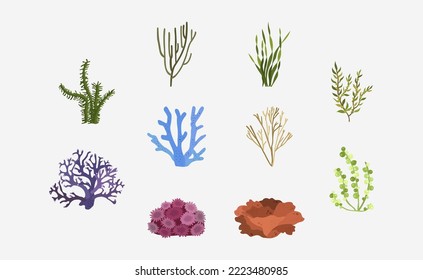 Marine Plants vector in flat design