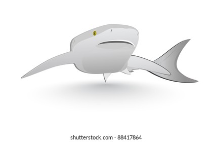 Marine predator, the shark