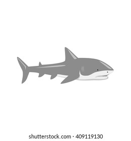 Marine predator shark design flat. Dangerous predator shark with fins and tail and sharp teeth. Aggressive fish creation of nature in black color living in the ocean or the sea. Vector illustration