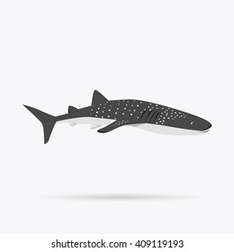 3d Illustration Dinosaur Fish Latimeria Over 스톡 일러스트 1231450849