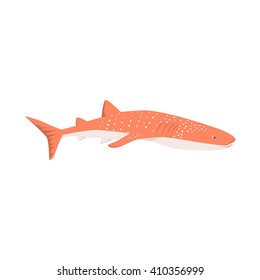 Marine predator shark design flat. Dangerous predator shark with fins and tail and sharp teeth. Aggressive fish tiger shark in orange color living in the ocean or the sea. Vector illustration