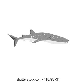 Marine predator shark design flat. Dangerous predator shark with fins and tail and sharp teeth.