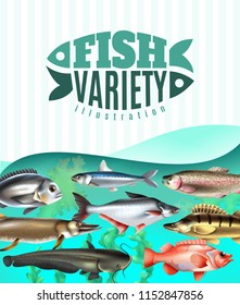 Marine and river fish variety underwater with sea weeds on turquoise background vector illustration
