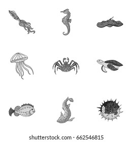 Marine and river inhabitants. Fish, whales, octopuses.Sea animals icon in set collection on monochrome style vector symbol stock illustration.