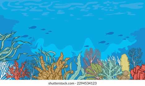 Marine Sea Life background. Ocean and underwater world with different inhabitants. Hand drawn sketch elements. Best for print, user interface, card, poster. Vector illustration.