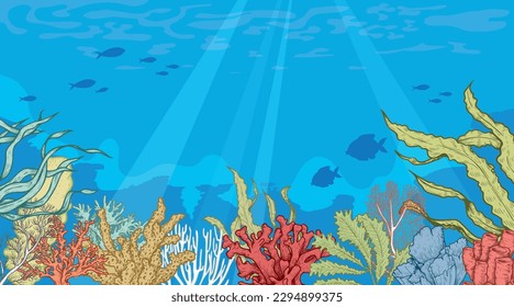 Marine Sea Life background. Ocean and underwater world with different inhabitants. Hand drawn sketch elements. Best for print, user interface, card, poster. Vector illustration.