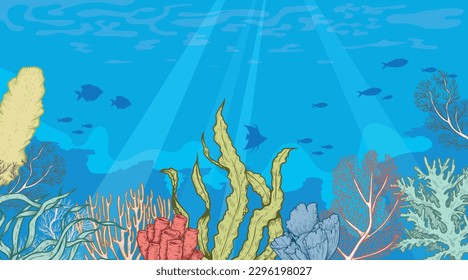 Marine Sea Life background. Ocean and underwater world with different inhabitants. Hand drawn sketch elements. Best for print, user interface, card, poster. Vector illustration.