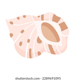 Concha marina aislada en un fondo blanco. Molusco de playa. Mariscos submarinos con rayas y manchas. Icono de moluscos submarinos. Ilustración vectorial en estilo plano
