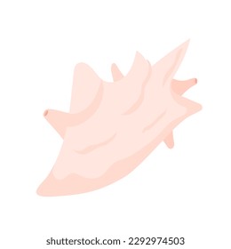 Marine sea shell isolated on white background. Beach mollusc. Underwater shellfish with horns. Undersea mollusk icon. Vector illustration in flat style