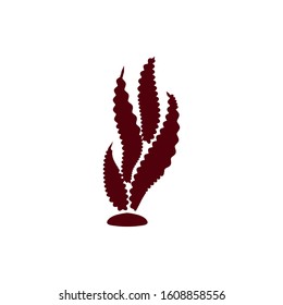 marine sea weed life icon vector illustration design
