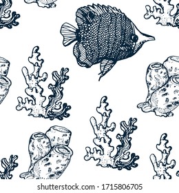 marine seamless pattern hand drawing vector coral fish and corals