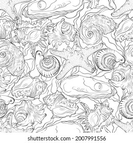 Marine seamless pattern from hand drawn spiral spiked sea shells and starfish with waves. Nautical vector pattern in line art style isolated on white. Wallpaper, wrapping paper, textile design