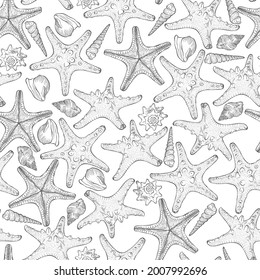 Marine seamless pattern from hand drawn sea shells and starfish. Nautical vector pattern in line art style isolated on white. Wallpaper, wrapping paper, textile design