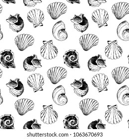 Marine seamless pattern, sea shells painted by hand. Vector.