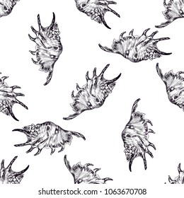 Marine seamless pattern, sea shells painted by hand. Vector.