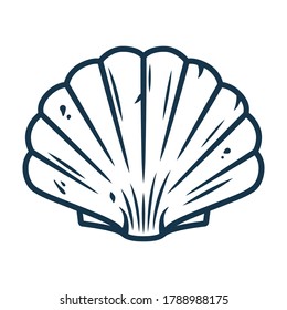 Marine seashell, sea shell, nature ocean aquatic underwater vector